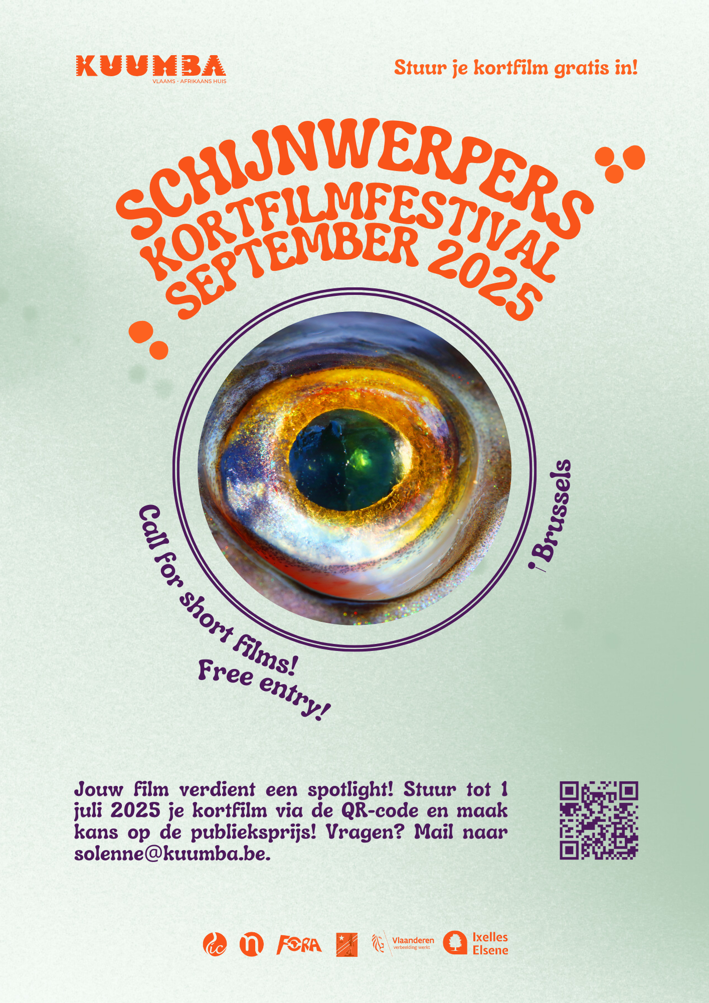 Submit your film to Schijnwerpers kortfilmfestival Submit your film to Schijnwerpers kortfilmfestival